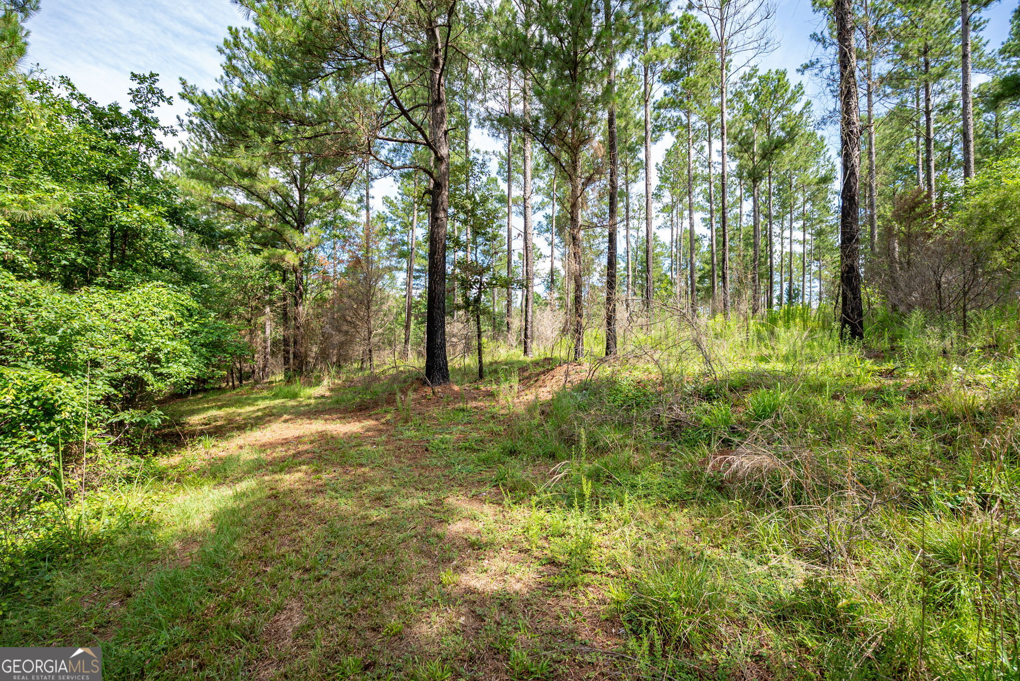 2286 Duffell Martin Road Comer, GA 30629 - Photo 32 of 81