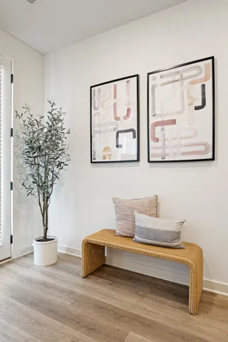 a living room with furniture and a potted plant