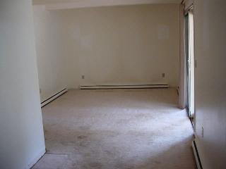 10249 Summerfield Road Temperance, MI 48182 - Photo 4 of 8 353490-3.JPG
