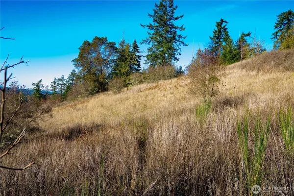 a view of a mountain with a yard