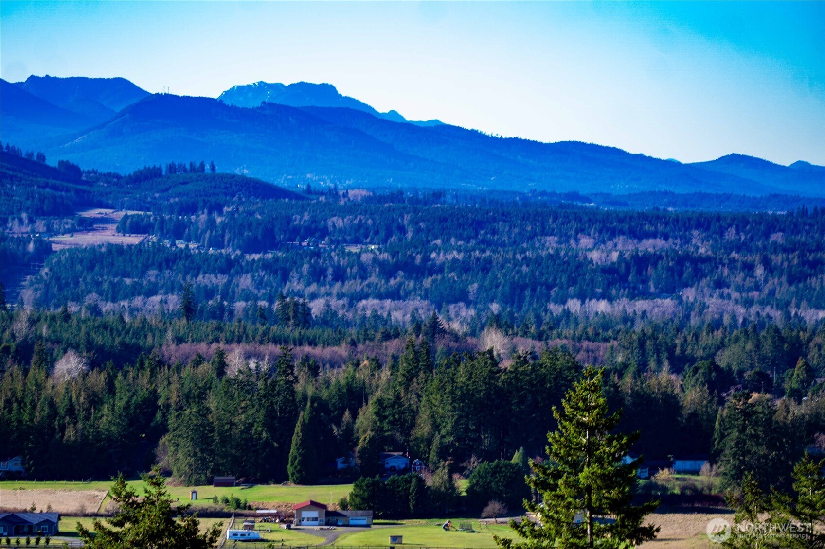 3 Hillside Drive Sequim, WA 98382 - Photo 21 of 27 a view of a lush green hillside and a houses
