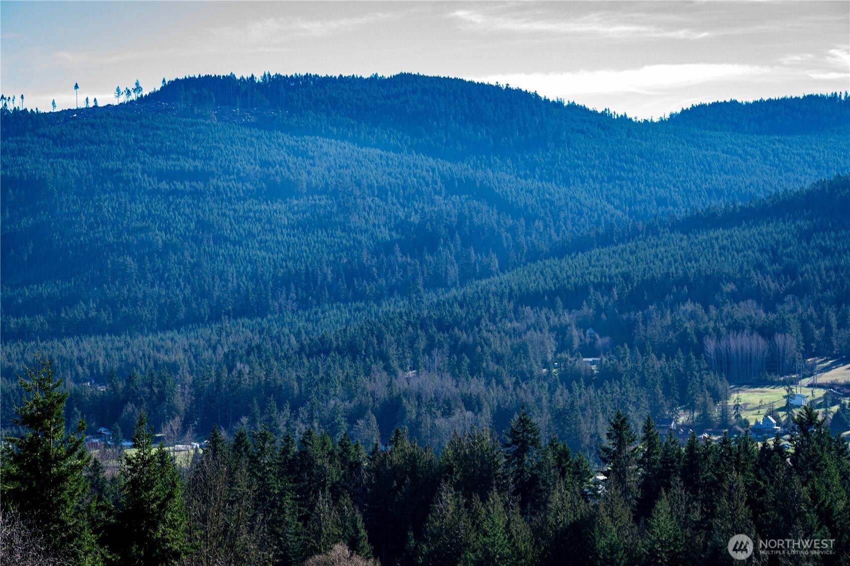 3 Hillside Drive Sequim, WA 98382 - Photo 23 of 27 a view of a field with a tree