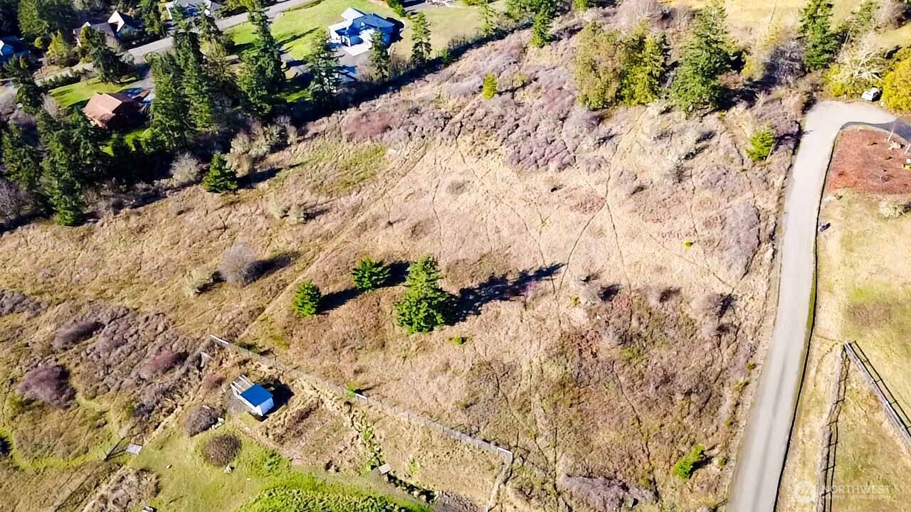 3 Hillside Drive Sequim, WA 98382 - Photo 4 of 27 a view of a yard with flowers