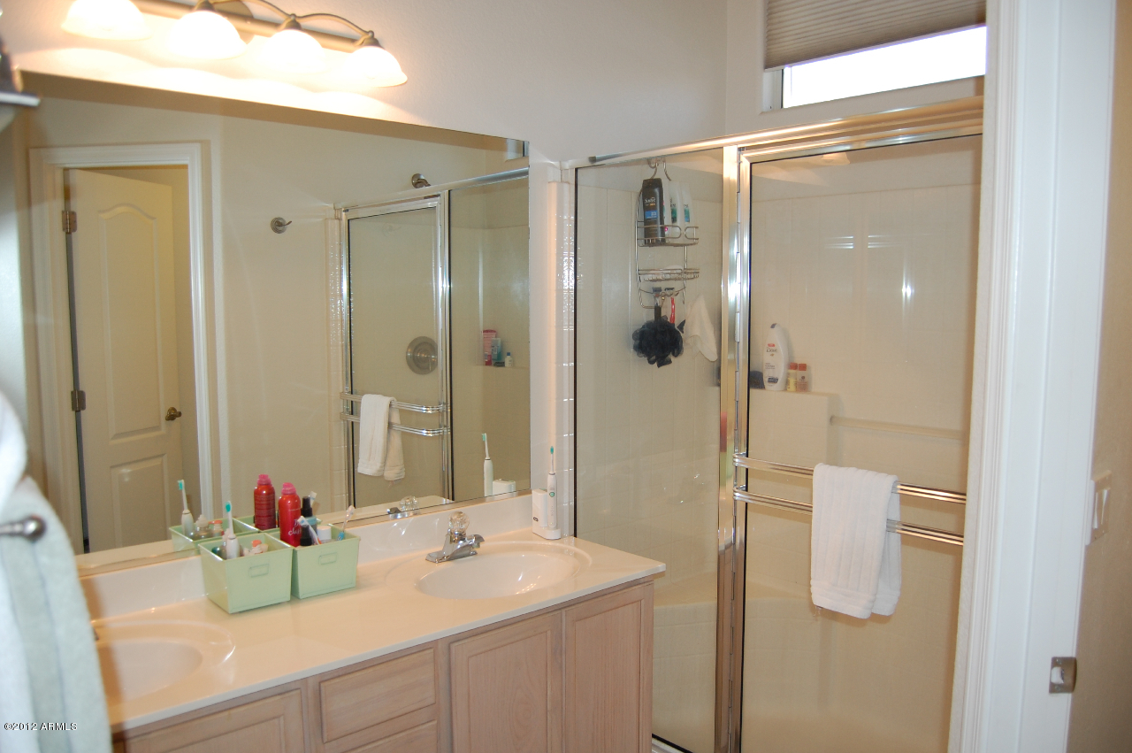 207 West Del Rio Street Gilbert, AZ 85233 - Photo 10 of 16 Master Bathroom