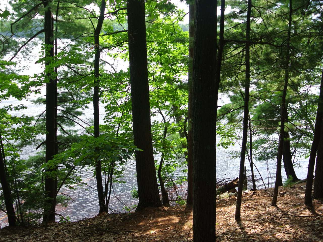 Three Russell Road Three Lakes, WI 54562 - Photo 1 of 3 Gallery Image 1