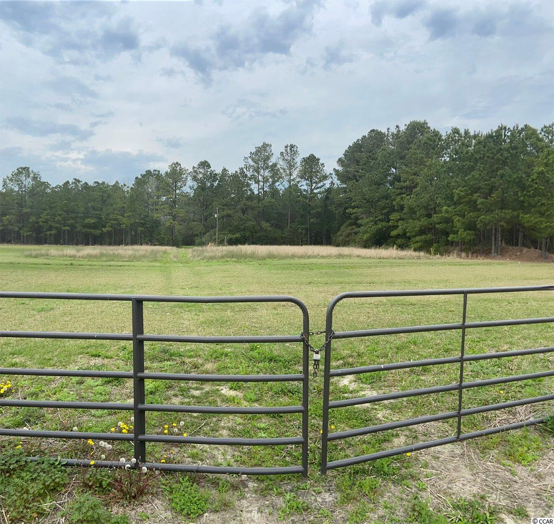0 Ash Little River Road Ash, NC 28420 - Photo 3 of 4 Gallery Image 3