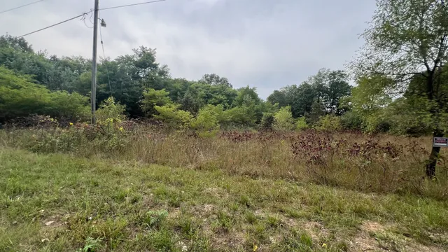 a view of a field of grass and trees