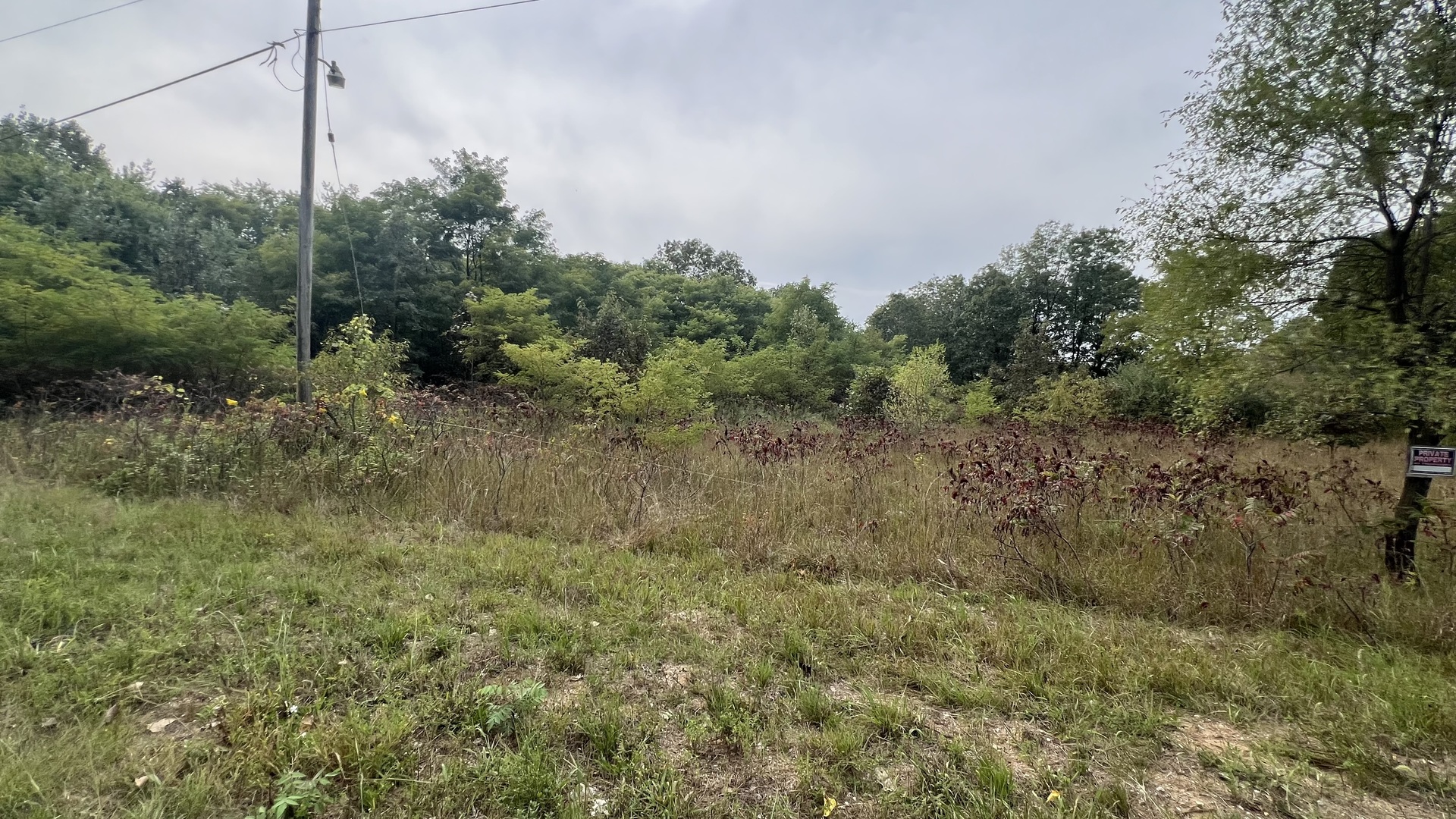 a view of a field of grass and trees