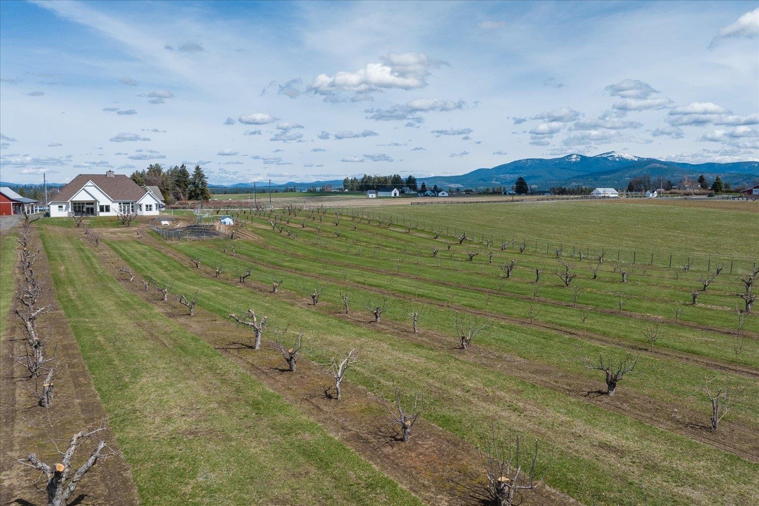 8214 East Greenbluff Road Colbert, WA 99005 - Photo 48 of 50