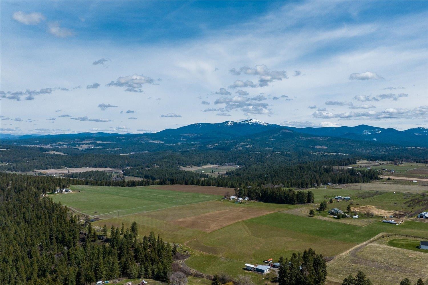 8214 East Greenbluff Road Colbert, WA 99005 - Photo 49 of 50