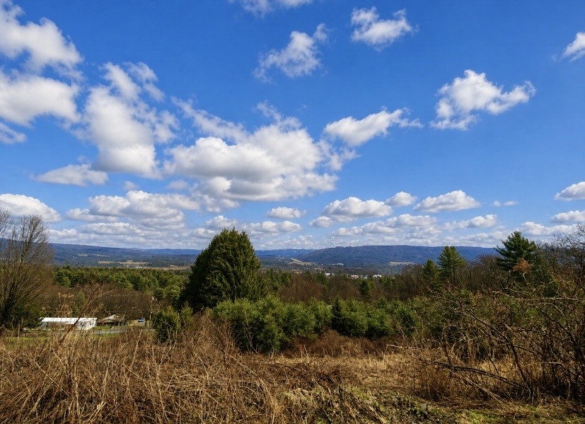 120 Fisher Road Afton, NY 13730 - Photo 19 of 19 the view