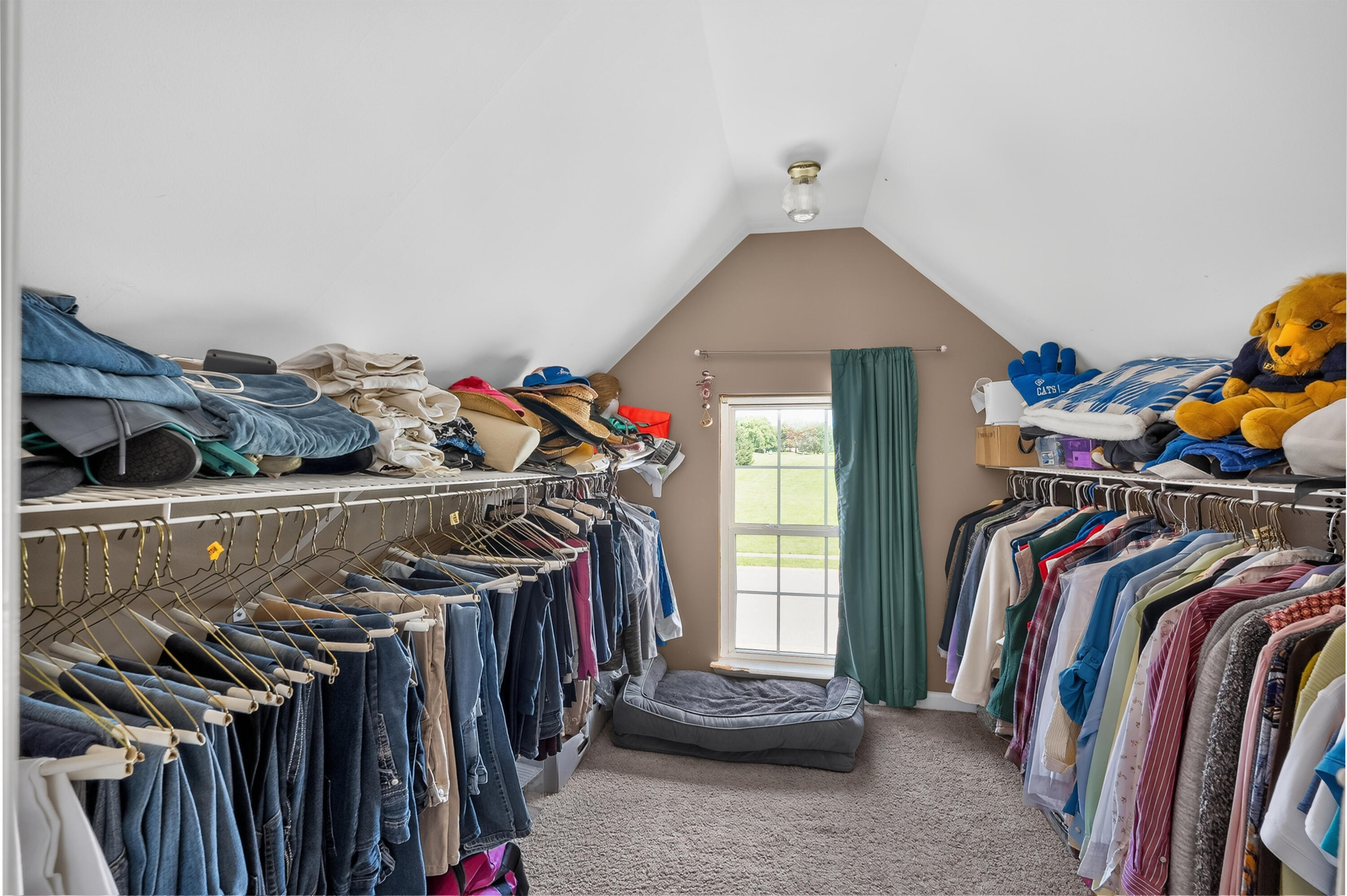110 The Masters Georgetown, KY 40324 - Photo 24 of 29 Huge walk-in closet with window!
