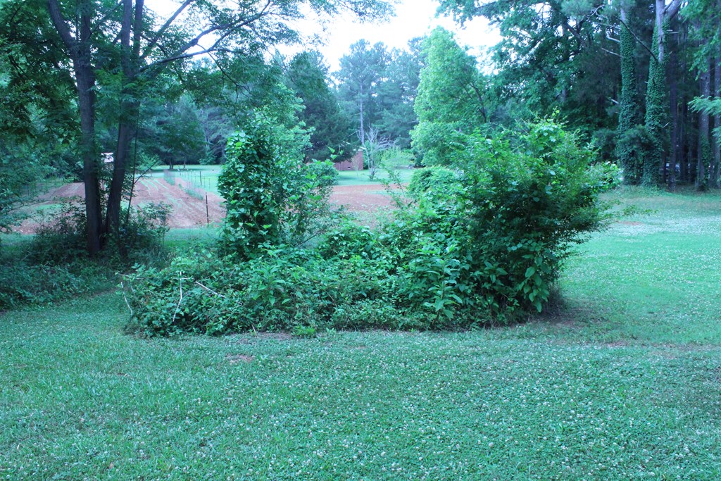 214 Cromer Road Hodges, SC 29653 - Photo 19 of 20