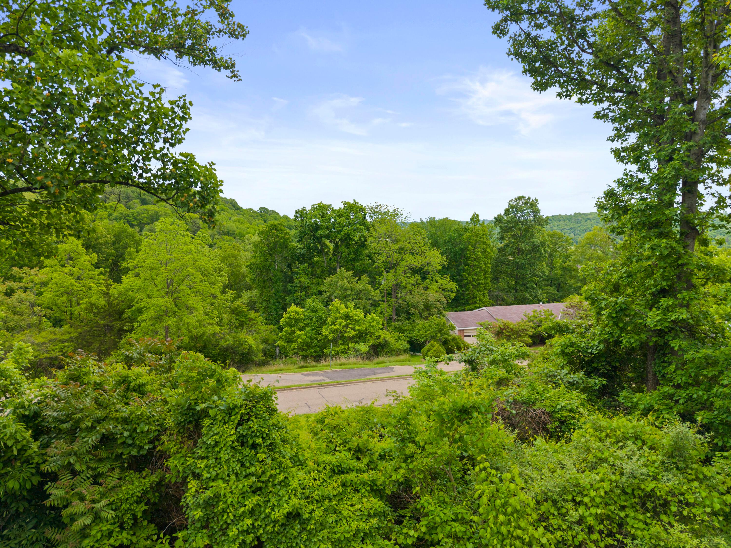 2 Bryan Road Athens, OH 45701 - Photo 10 of 63 64-print-DJI_20260514165454_0077_D