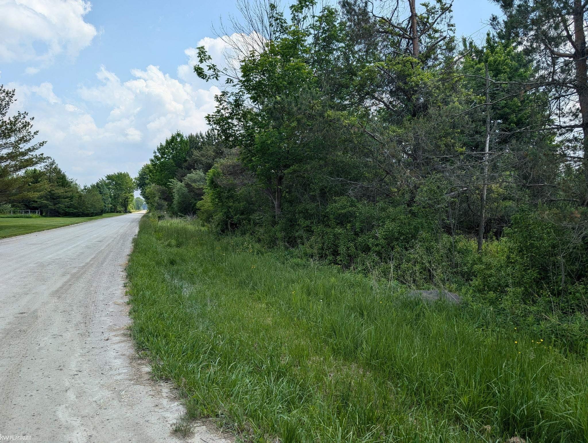 2740 Fox Road Goodells, MI 48027 - Photo 1 of 7