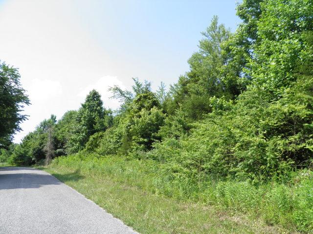 501 Wimbley Road Estill Springs, TN 37330 - Photo 8 of 9 Gallery Image 8