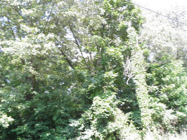 501 Wimbley Road Estill Springs, TN 37330 - Photo 9 of 9 Gallery Image 9