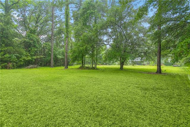 29965 Pete Miller Road Livingston, LA 70754 - Photo 15 of 16