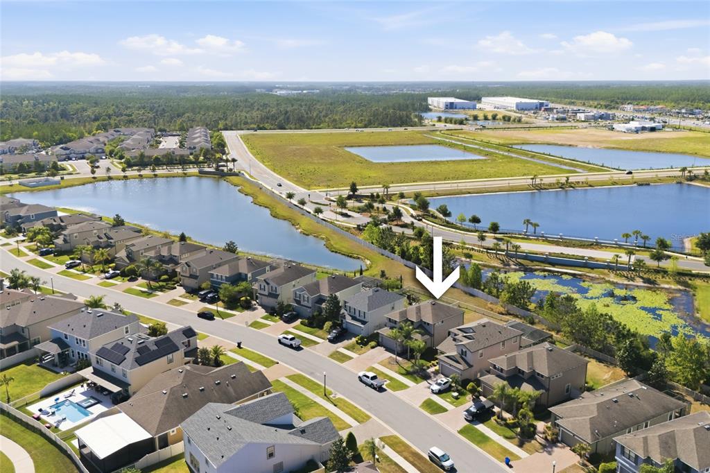 19720 Long Lake Ranch Boulevard Lutz, FL 33558 - Photo 44 of 52