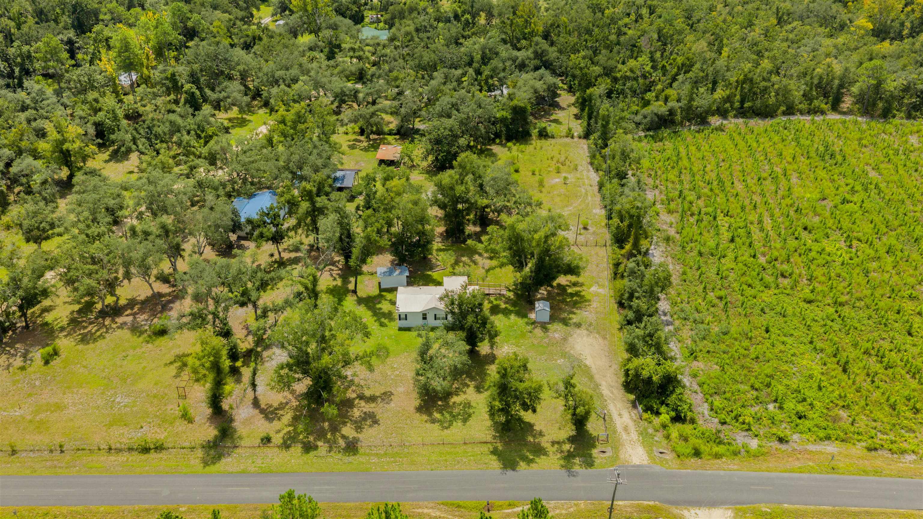 1725 Ma Dixon Road Perry, FL 32348 - Photo 37 of 43 Gallery Image 37