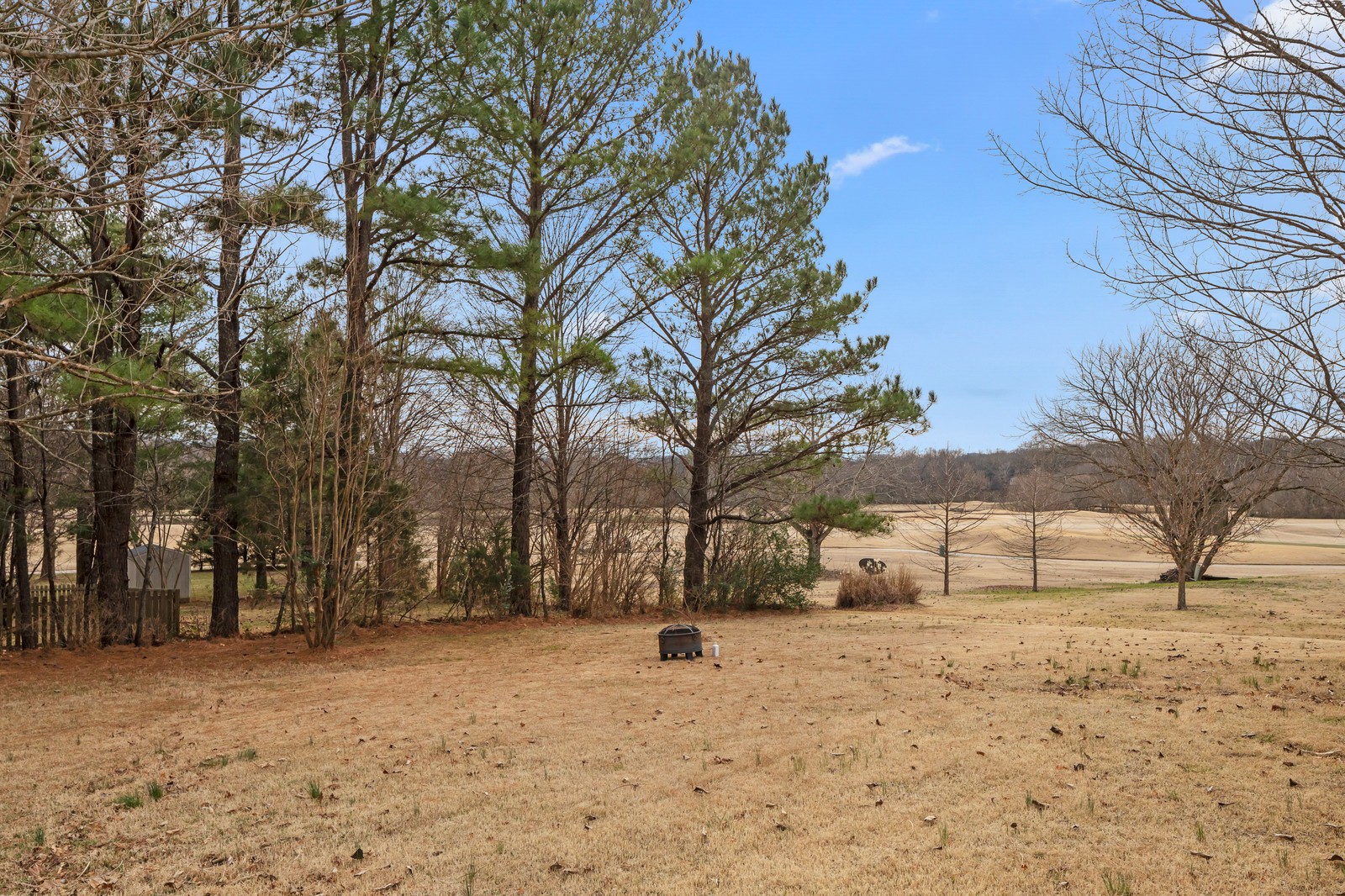 704 Riverview Drive Franklin, TN 37064 - Photo 32 of 33 a view of snow on the road