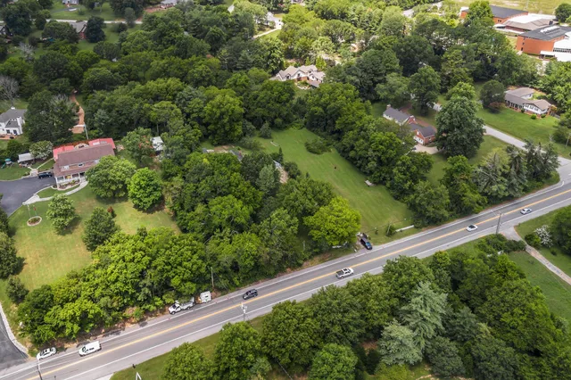 an aerial view of green landscape with trees in the background