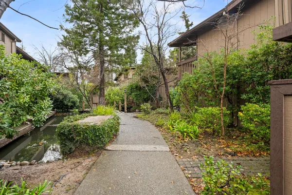 a view of a back yard