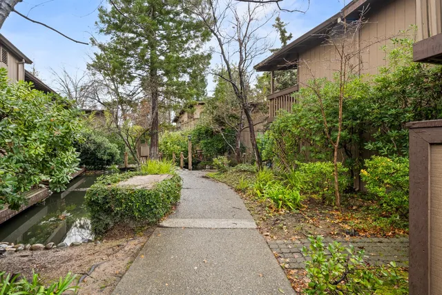 a view of a back yard