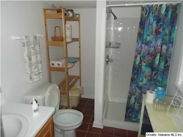 1717 Old Houston Road Arley, AL 35541 - Photo 8 of 13