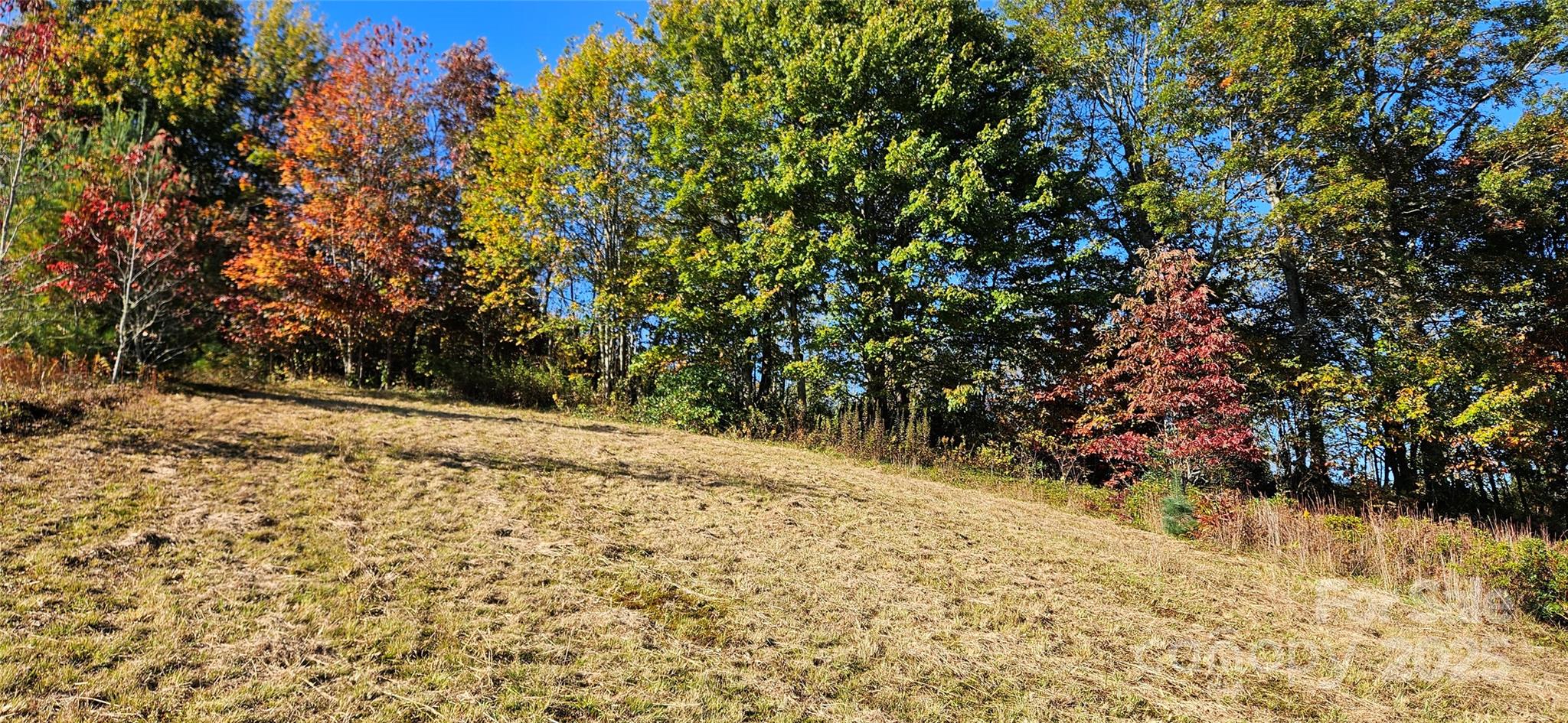 0 Clarktown Road Newland, NC 28657 - Photo 2 of 5 a view of a yard with a tree