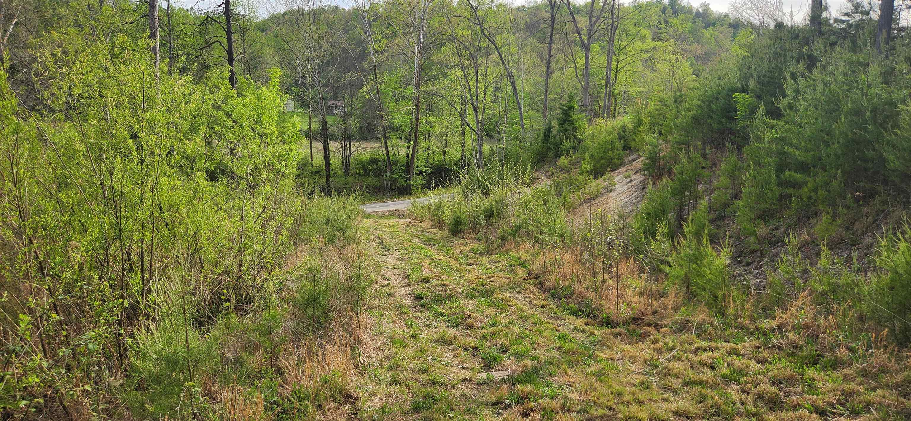 Stinson Creek Road Grayson, KY 41143 - Photo 12 of 14