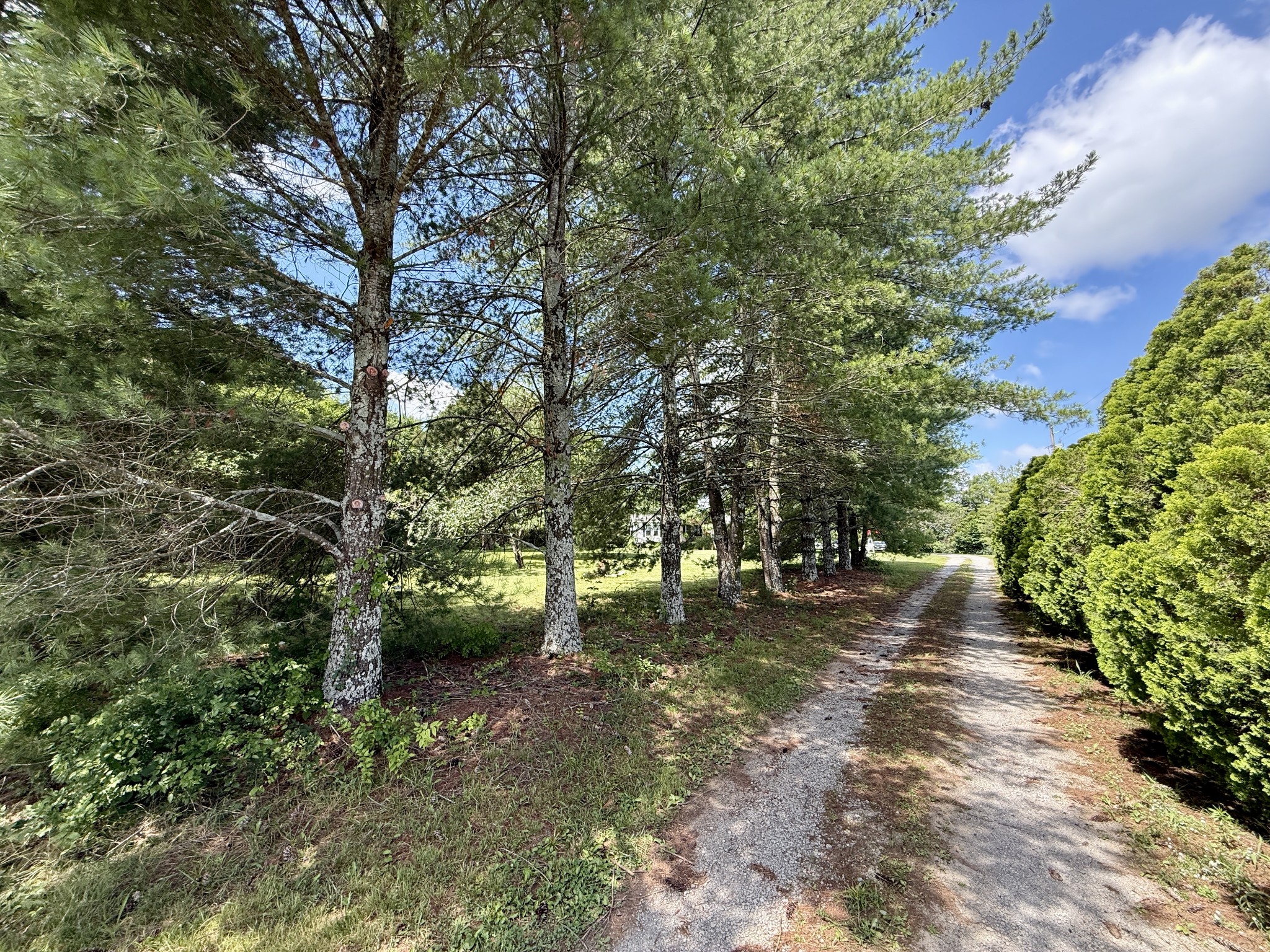 1280 B McCrary Road Lebanon, TN 37090 - Photo 47 of 100