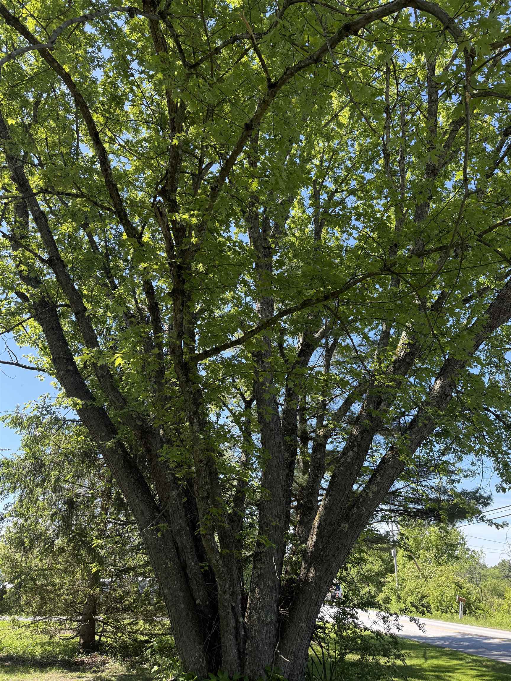 782 North Street Wells, VT 05774 - Photo 9 of 14