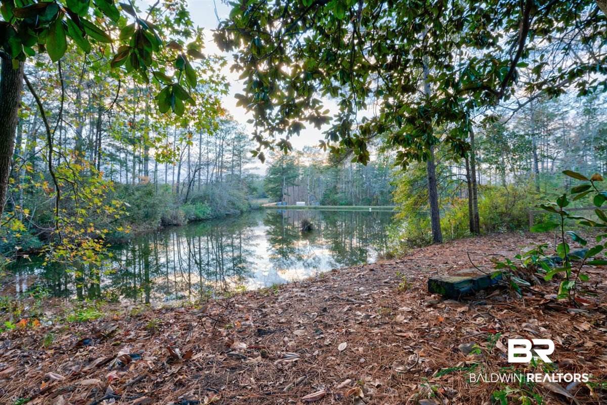 559 Buddy Lake Road Brewton, AL 36426 - Photo 21 of 32