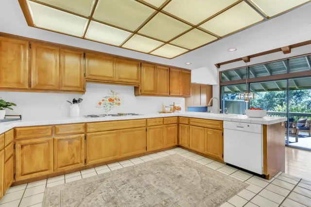 a view of a backyard with couches plants and large tree
