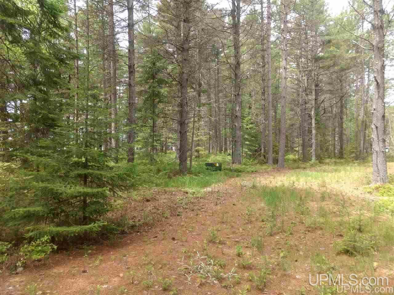 Tbd Rice Landing Road, Unit 13 Lake Linden, MI 49945 - Photo 7 of 35