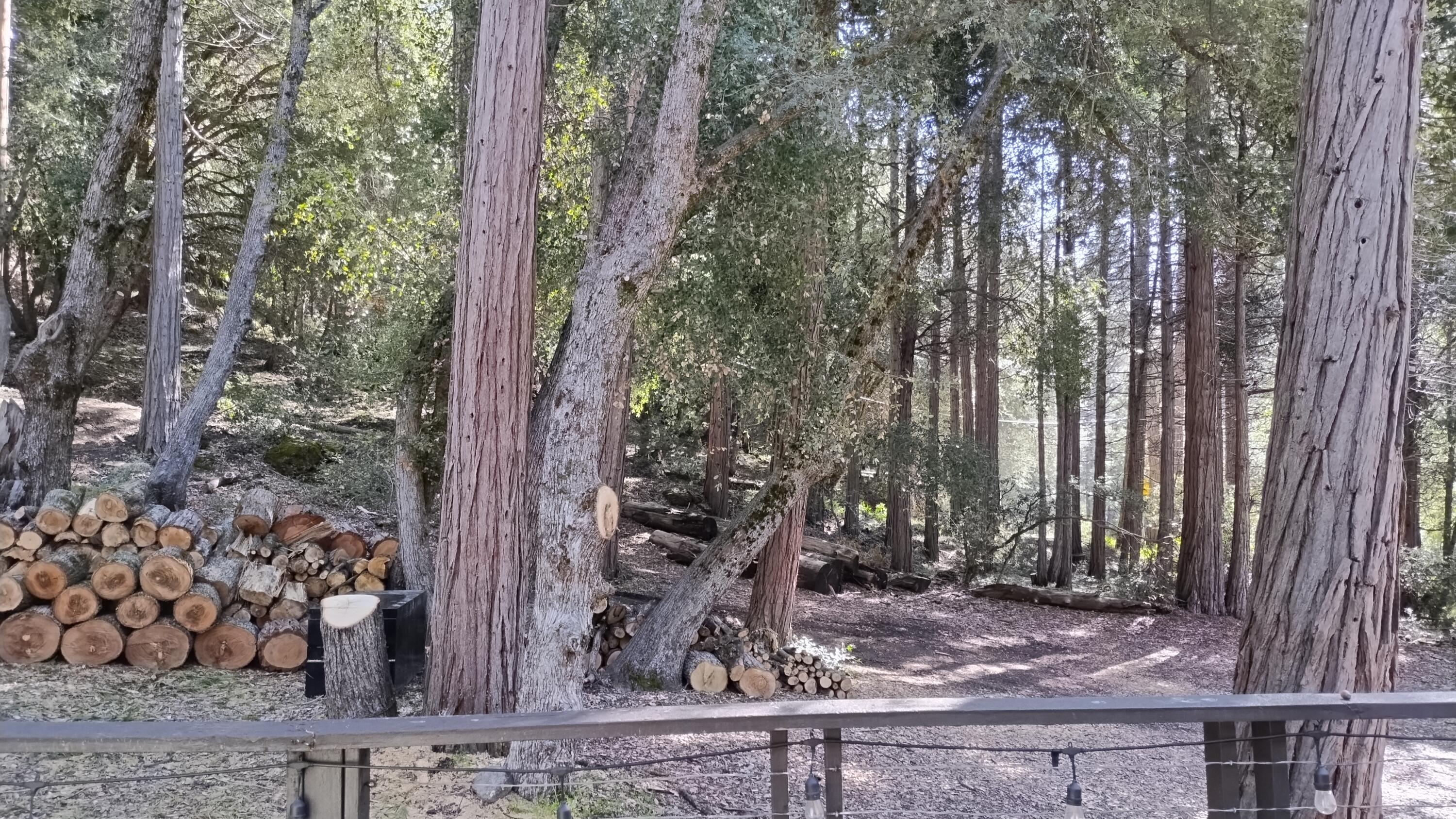 1693 Forest Rte 21S94 Camp Nelson, CA 93265 - Photo 58 of 86 50-Looking out front door