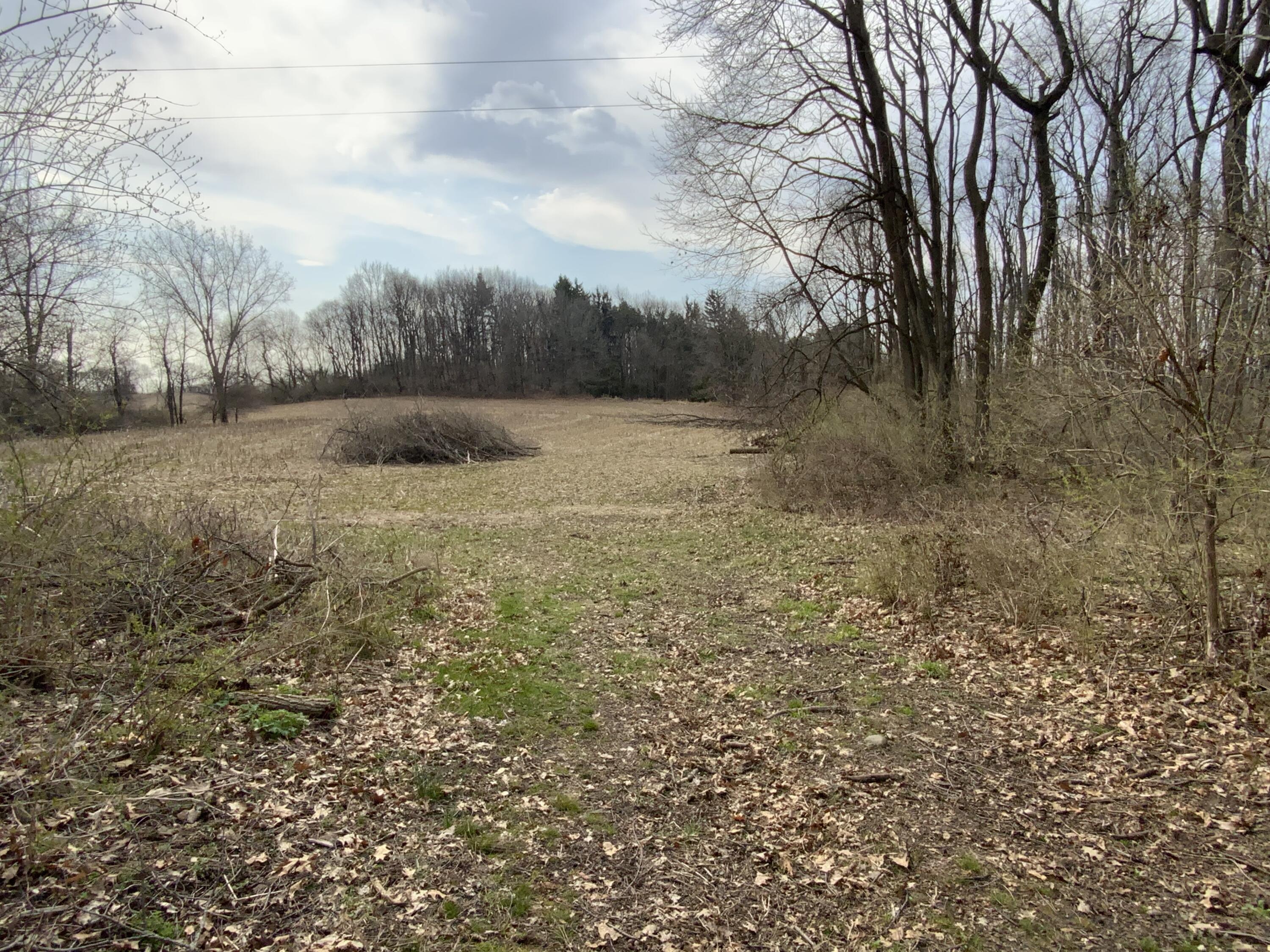 0 Mathews Road Spring Arbor, MI 49283 - Photo 3 of 6 IMG_0958