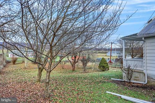 6076 Linglestown Road Harrisburg, PA 17112 - Photo 3 of 16 Back yard / side view to rear