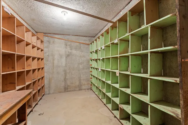 a view of a dry yard with a tree