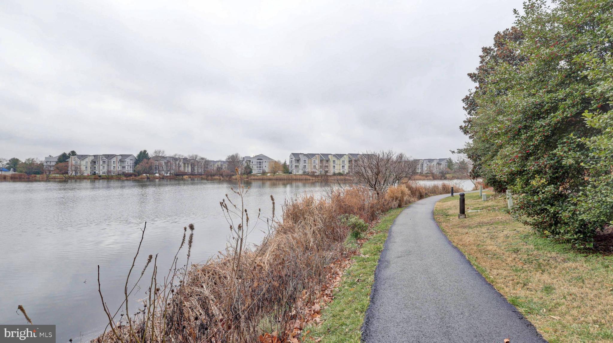 44072 Florence Terrace Ashburn, VA 20147 - Photo 28 of 31 a view of a lake with a big yard and large trees