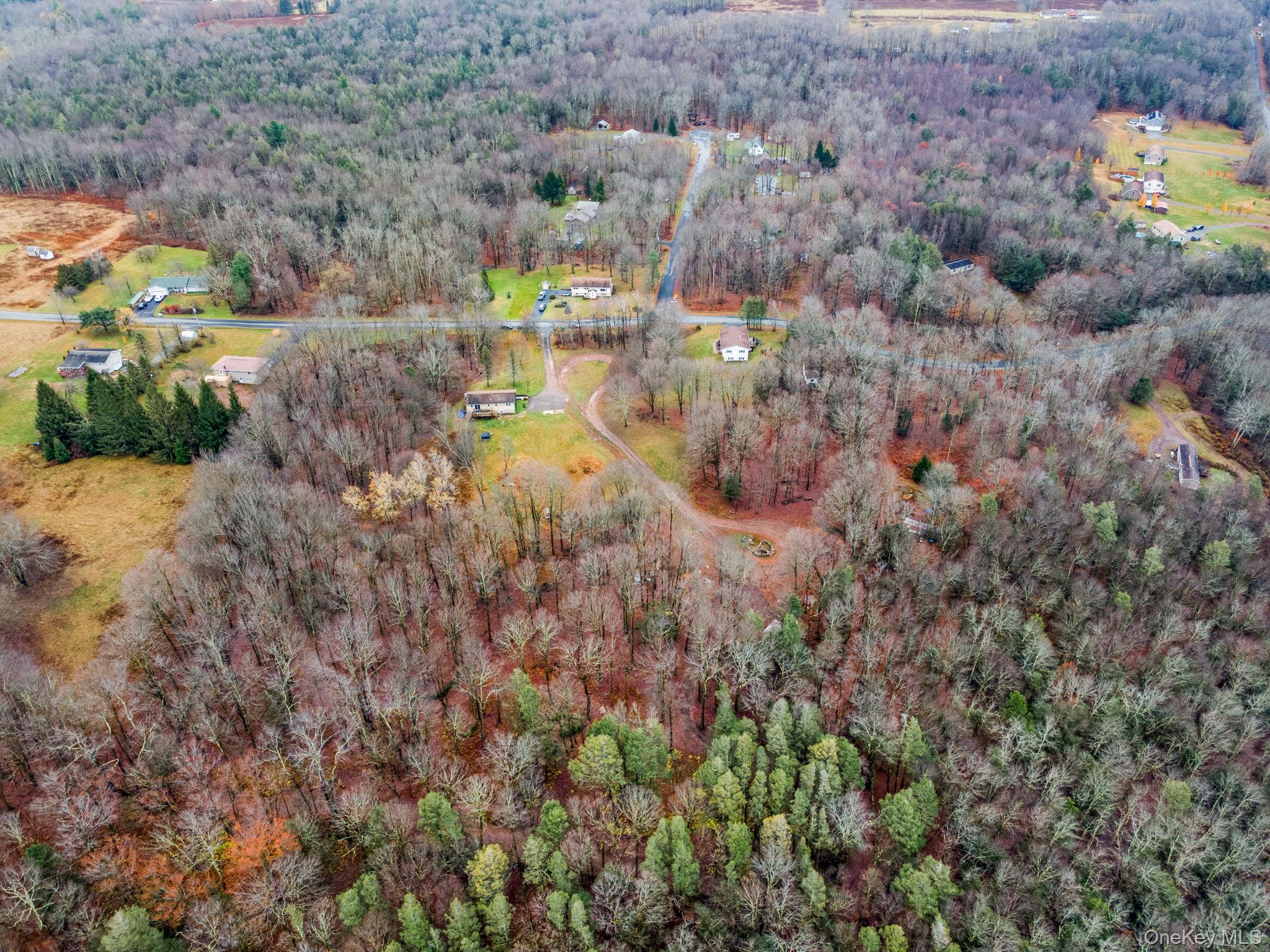 178 Bowers Road Loch Sheldrake, NY 12759 - Photo 33 of 47 a view of swimming pool and mountain view