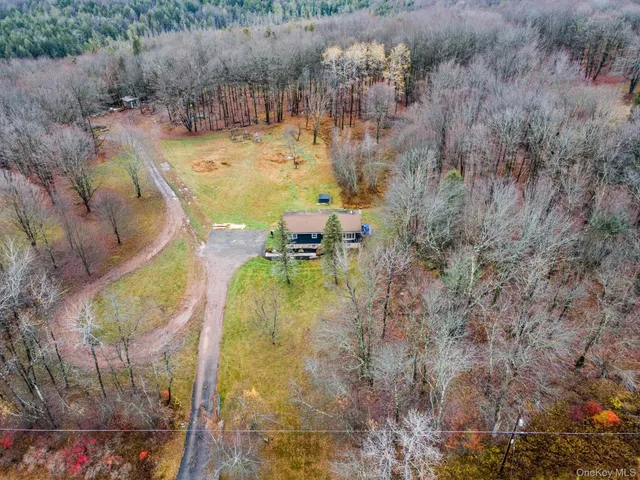 a view of a yard with trees