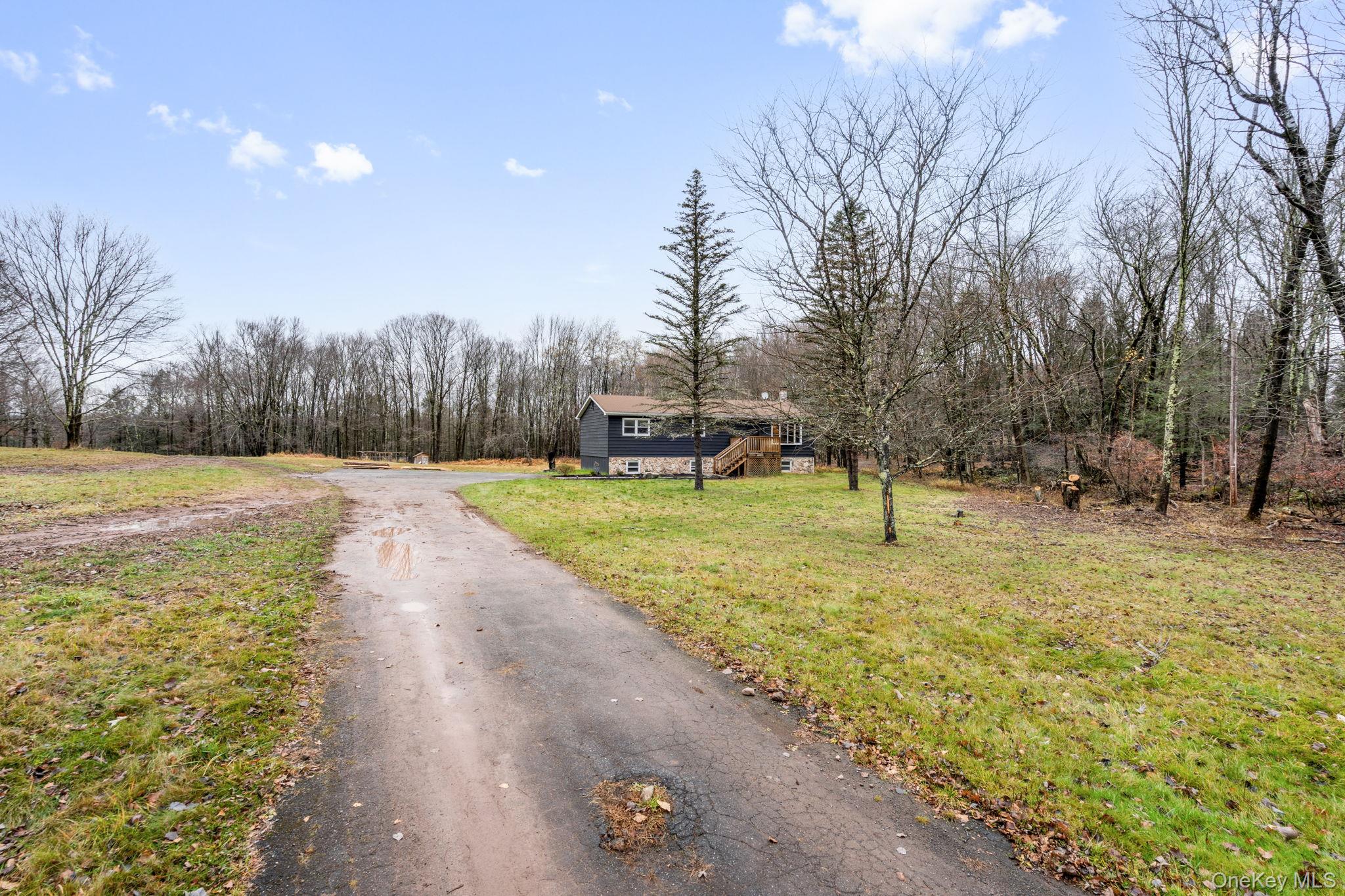178 Bowers Road Loch Sheldrake, NY 12759 - Photo 42 of 47 a view of a yard with trees