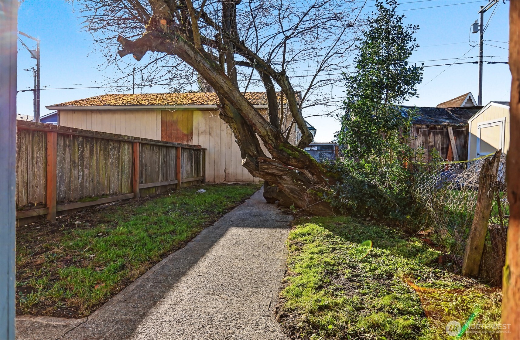 1328 Chestnut Street Everett, WA 98201 - Photo 21 of 24 a view of a yard with plants and large trees