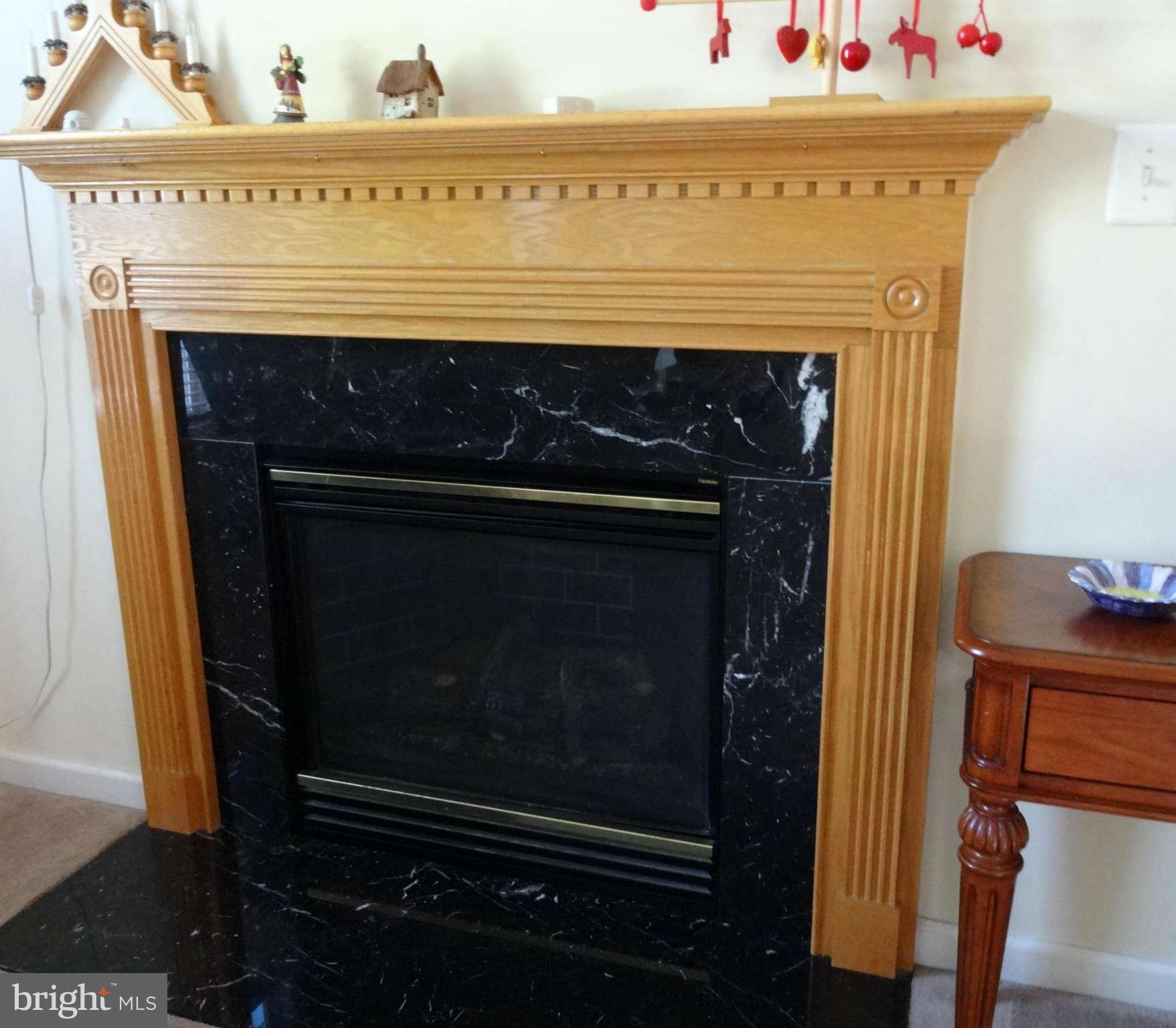 1753 Castle Rock Road Frederick, MD 21701 - Photo 16 of 30 Fireplace