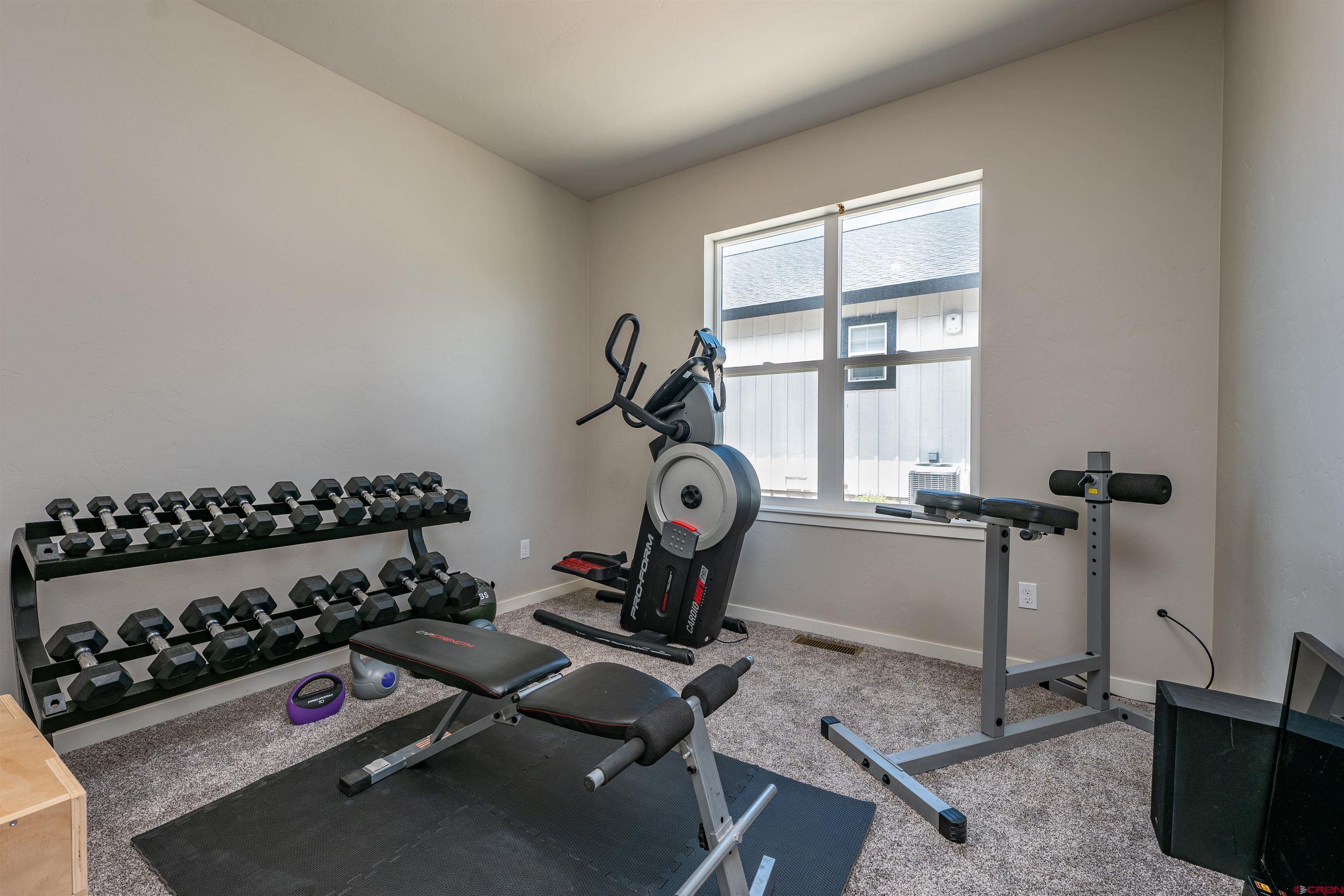 74 Prospector Avenue Durango, CO 81301 - Photo 18 of 30 a room with gym equipment and a window