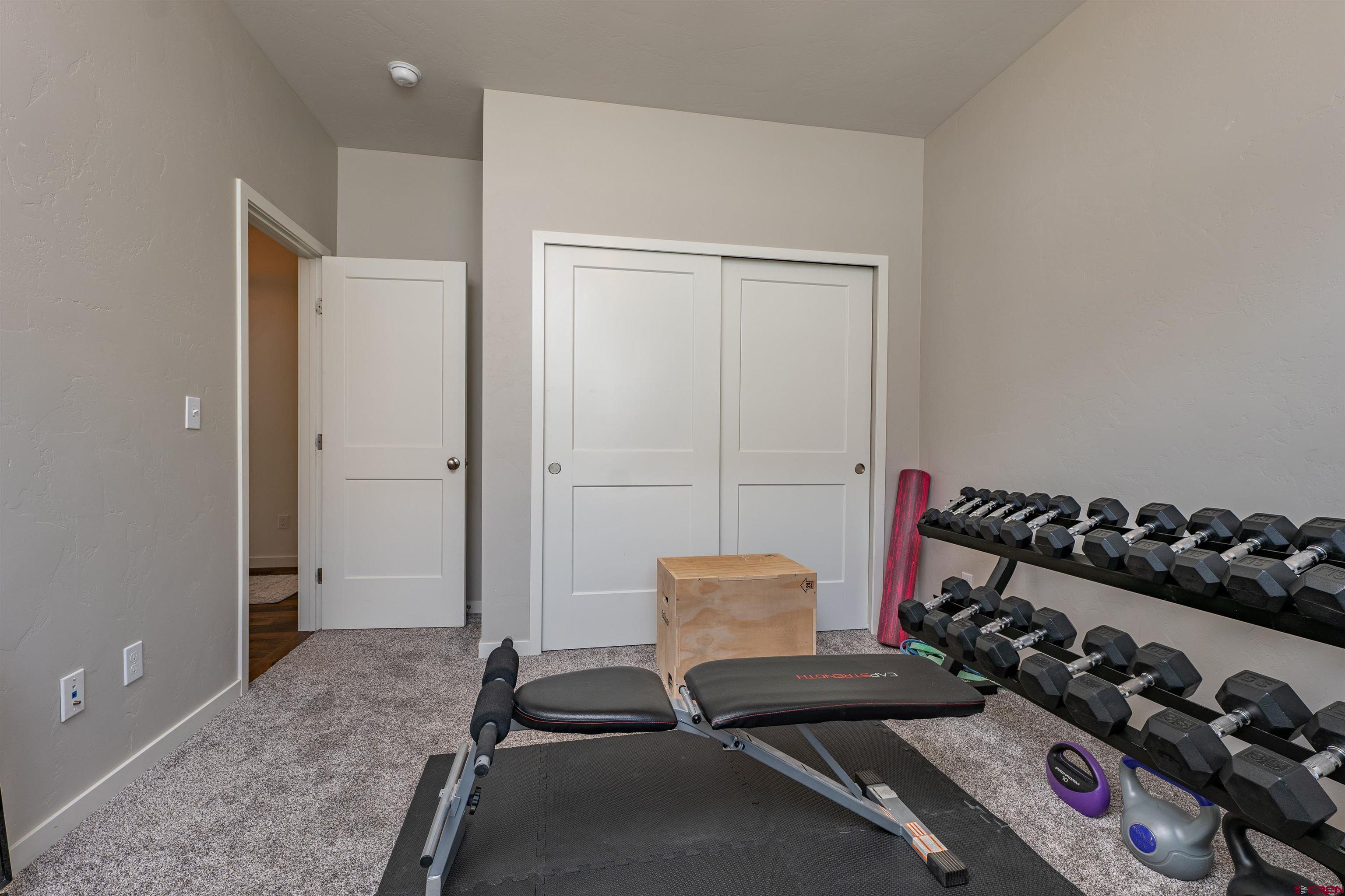 74 Prospector Avenue Durango, CO 81301 - Photo 19 of 30 a view of a room with gym equipment