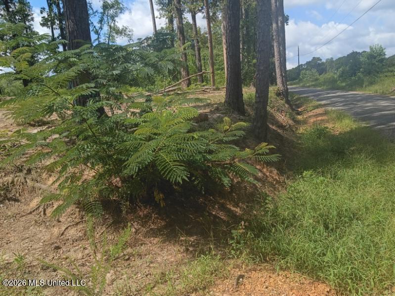 360 Revere Road Carthage, MS 39051 - Photo 24 of 26 eiv2kfkxmp8aotyeq3b0vuhq0