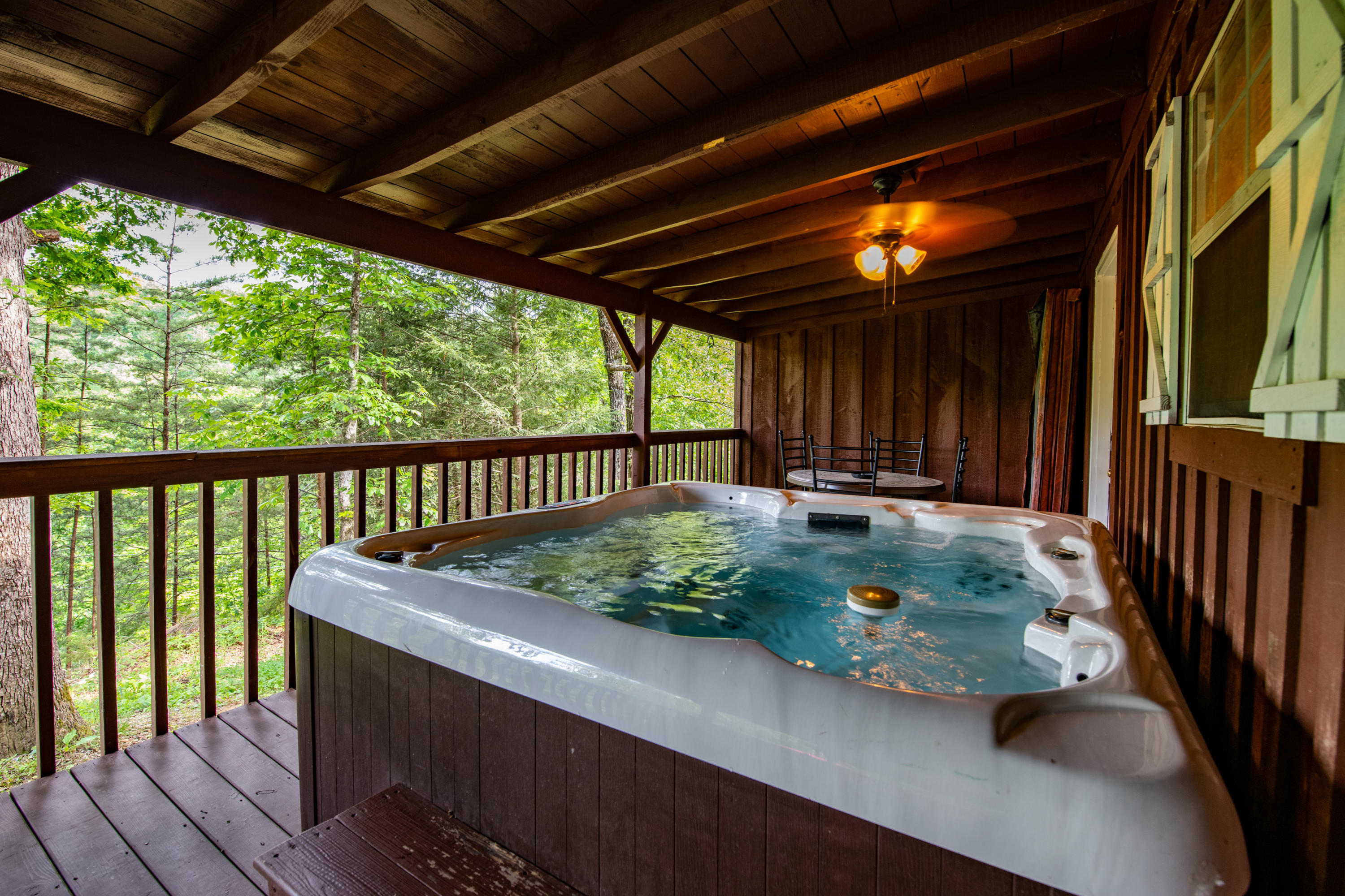 2116 Ridgecrest Loop Lane Sevierville, TN 37876 - Photo 38 of 40 _DSC8003